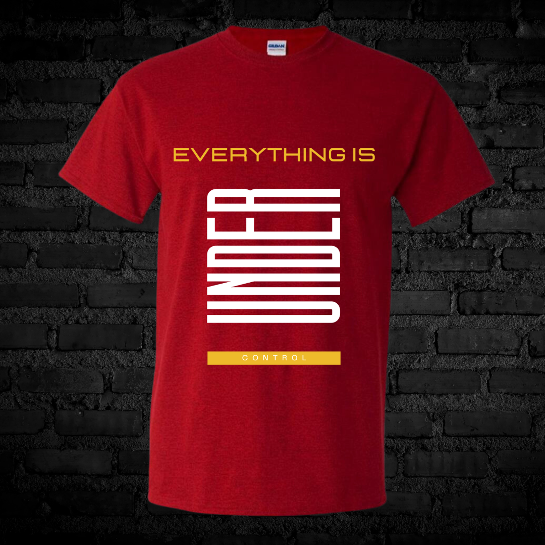 Unisex Short Sleeve "everything under control" Tee